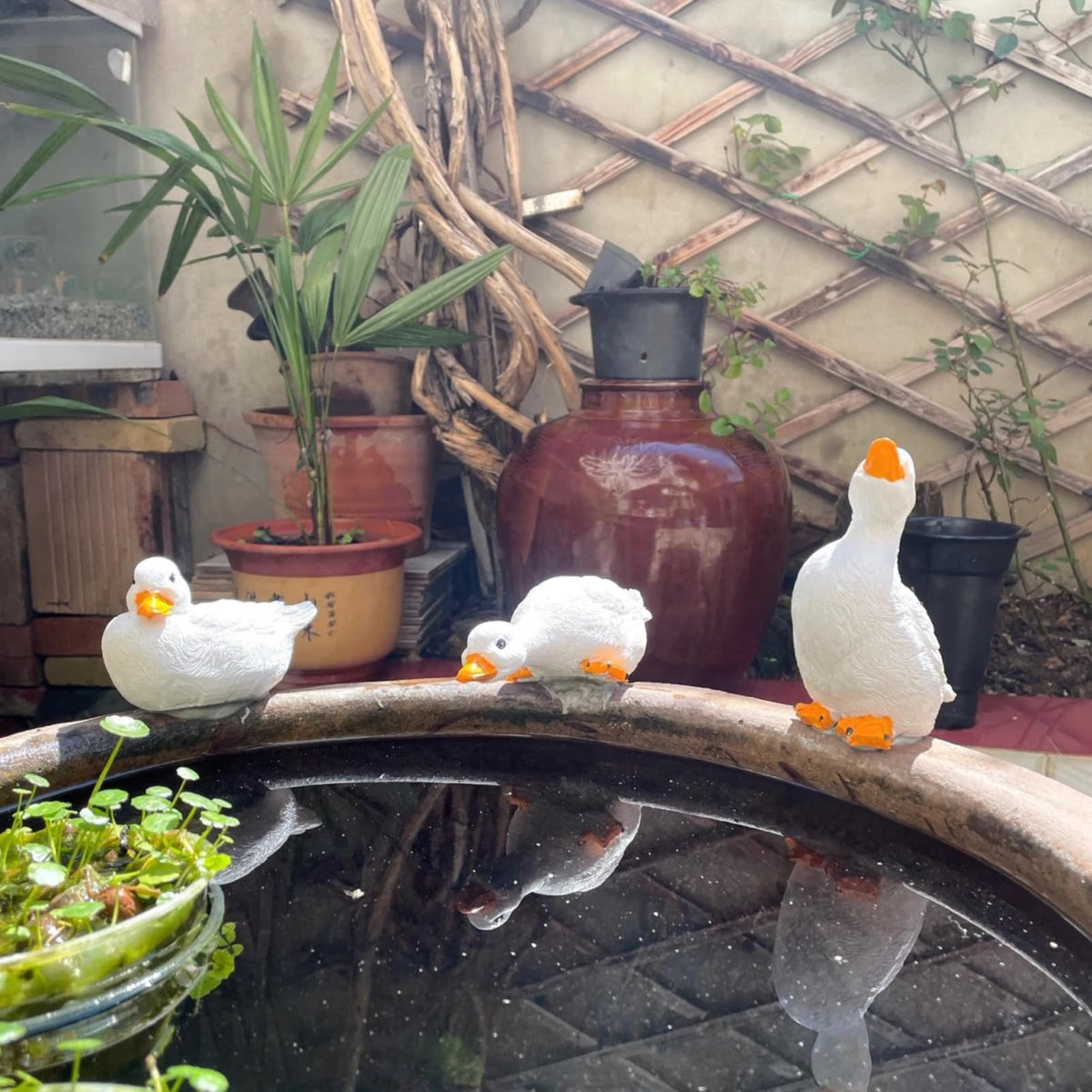 GBHKPLFO duck decor by poolside creates a breezy, inviting focal point
