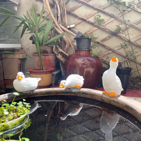 GBHKPLFO duck decor by poolside creates a breezy, inviting focal point