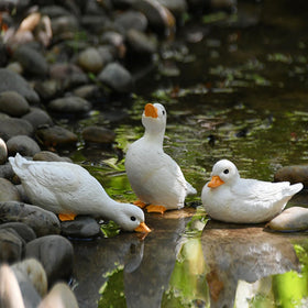 GBHKPLFO outdoor duck set packaging keeps items protected during shipping