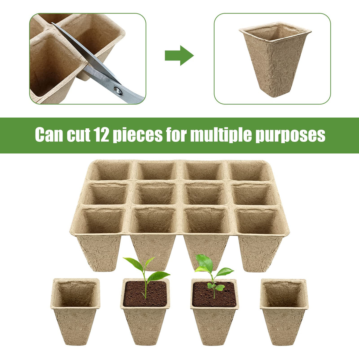 GCVOPTON seed starter kit with labels highlights organized gardening