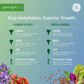 GE Grow PAR38 flood light supports tomatoes, cucumbers, and peppers indoors