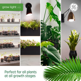 GE Grow PAR38 flood light ideal for indoor herbs and fruit trees