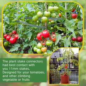 Suitable for tomatoes, cucumbers, beans, peonies, and other climbers