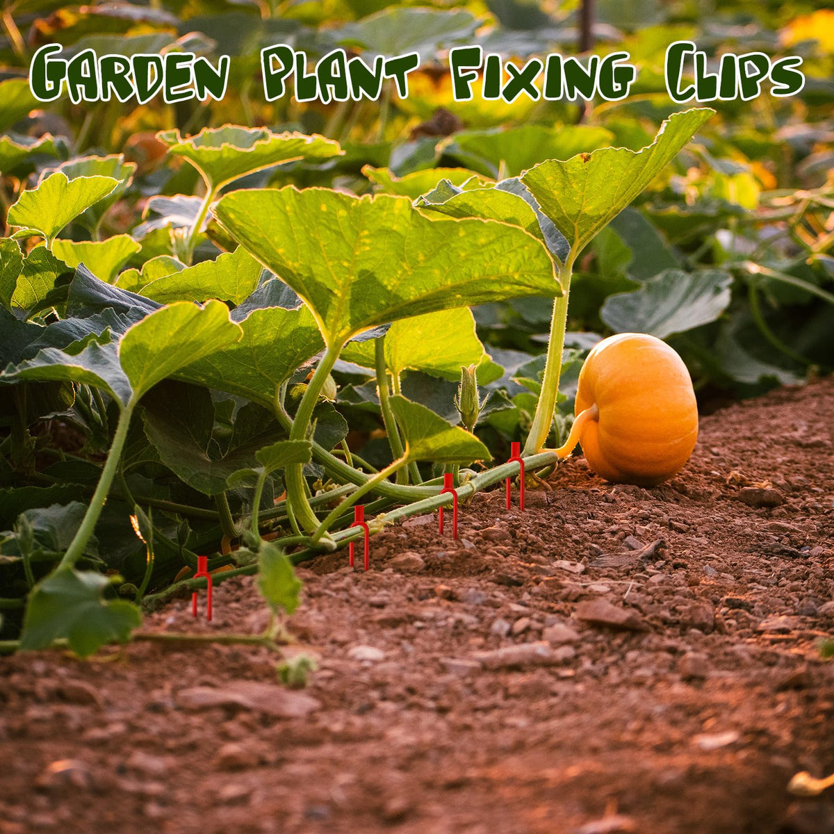 Geelin plant fixing clips inserted into soil for quick securing in garden beds