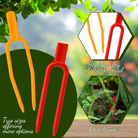 Geelin watermelon-strawberry fork guides vine spread for even light exposure