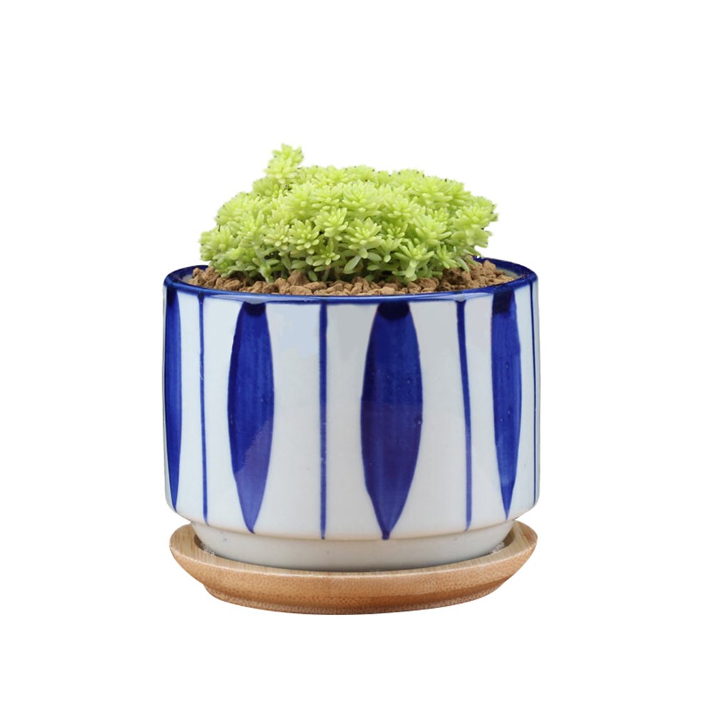 GeLive bamboo drip trays with pots on a clean surface