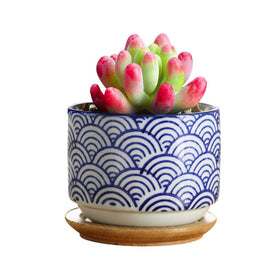 GeLive blue flower ceramic pot showcasing vibrant plant accent