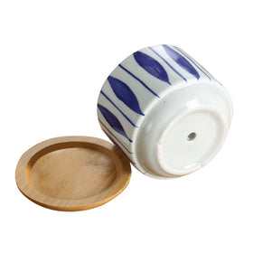 GeLive compact 3-inch pot suitable for shelves or desks