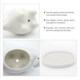 GeLive dinosaur planter side view highlighting compact size for small spaces