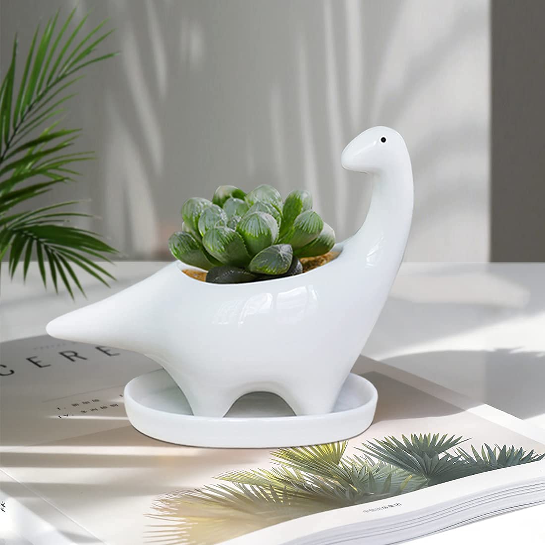 GeLive dinosaur planter on windowsill inspires playful decor in any room