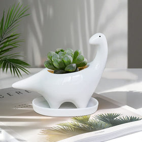 GeLive dinosaur planter on windowsill inspires playful decor in any room