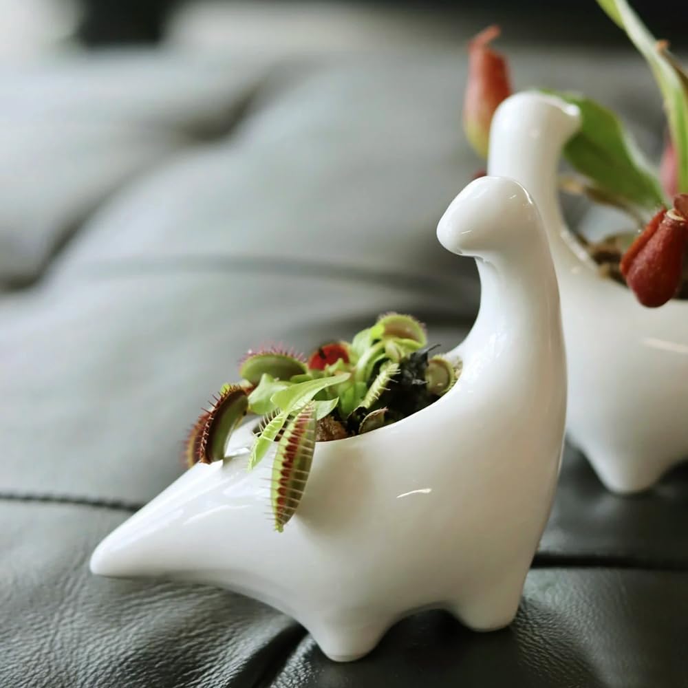 GeLive dinosaur planter with saucer demonstrates spill-free watering on tables