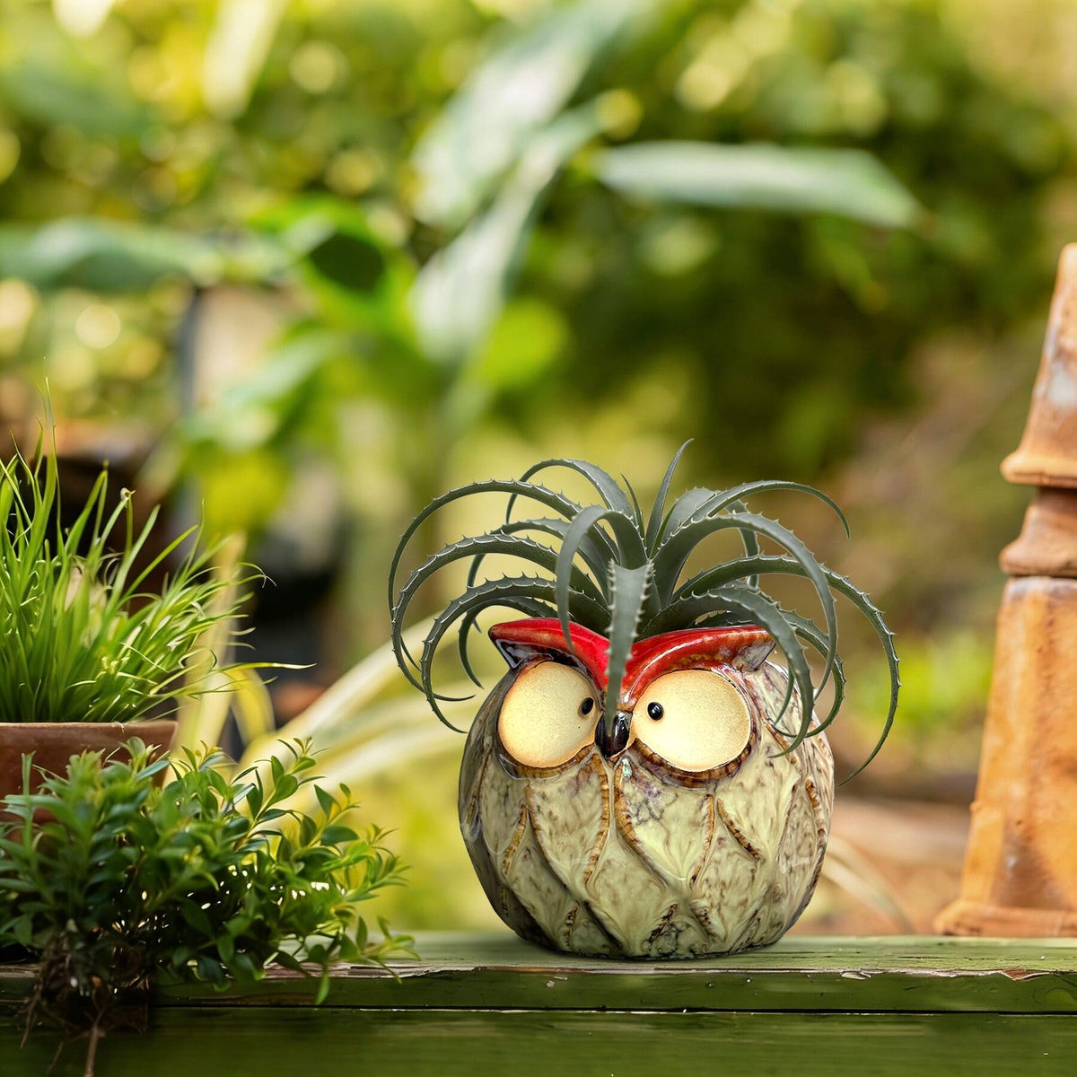GeLive compact owl planter fits small herbs and succulents.