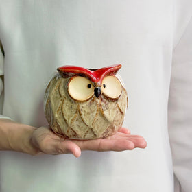 GeLive owl ceramic planter suits shelves, patios, and windowsills.