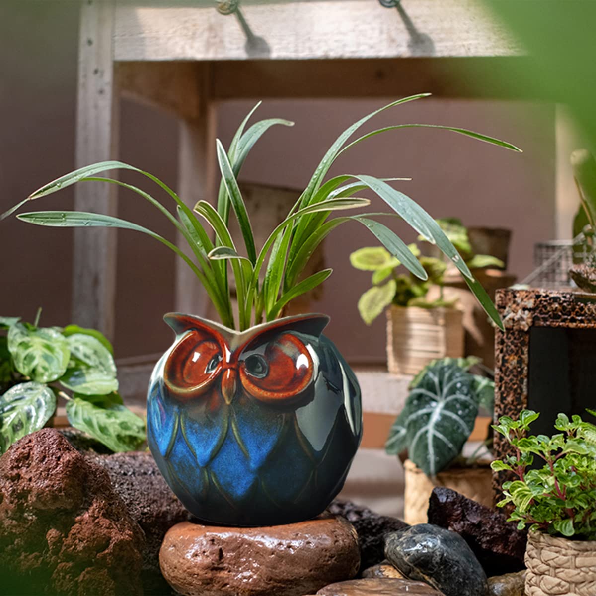 gelive blue owl ceramic pot ideal for succulents and herbs