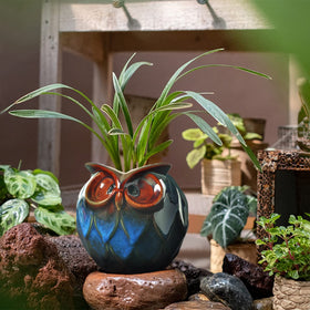 gelive blue owl ceramic pot ideal for succulents and herbs