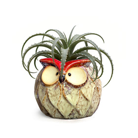 GeLive Owl succulent pot with owl silhouette, desk-ready.