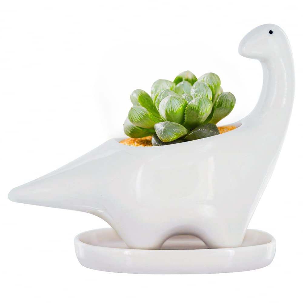 GeLive white dinosaur planter front view for desk decor and charm