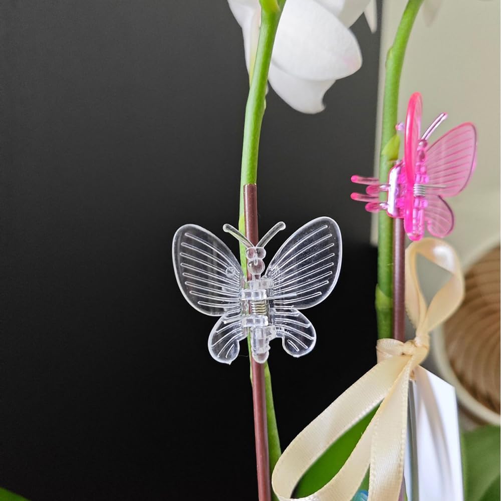 GELXGRIT dragonfly orchid clip orange keeping peppers and tomatoes steady.