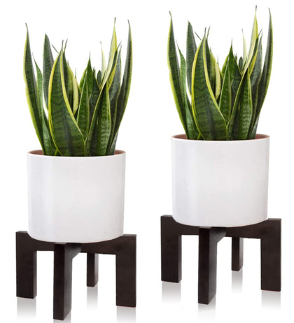 Gendral Forwepup plant stand for indoor and outdoor use, accommodates various pot shapes.