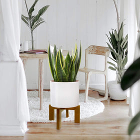 Gendral Forwepup rattan texture stand complements rustic home décor.