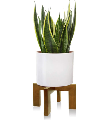 Gendral Forwepup wood plant stand side view with slim profile and stable base.