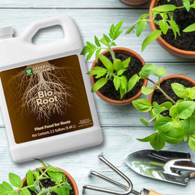 General Organics BioRoot container-garden-feeding boosts potted plant vitality.