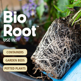 General Organics BioRoot supports vegetables-fruits-herbs growth in home gardens.