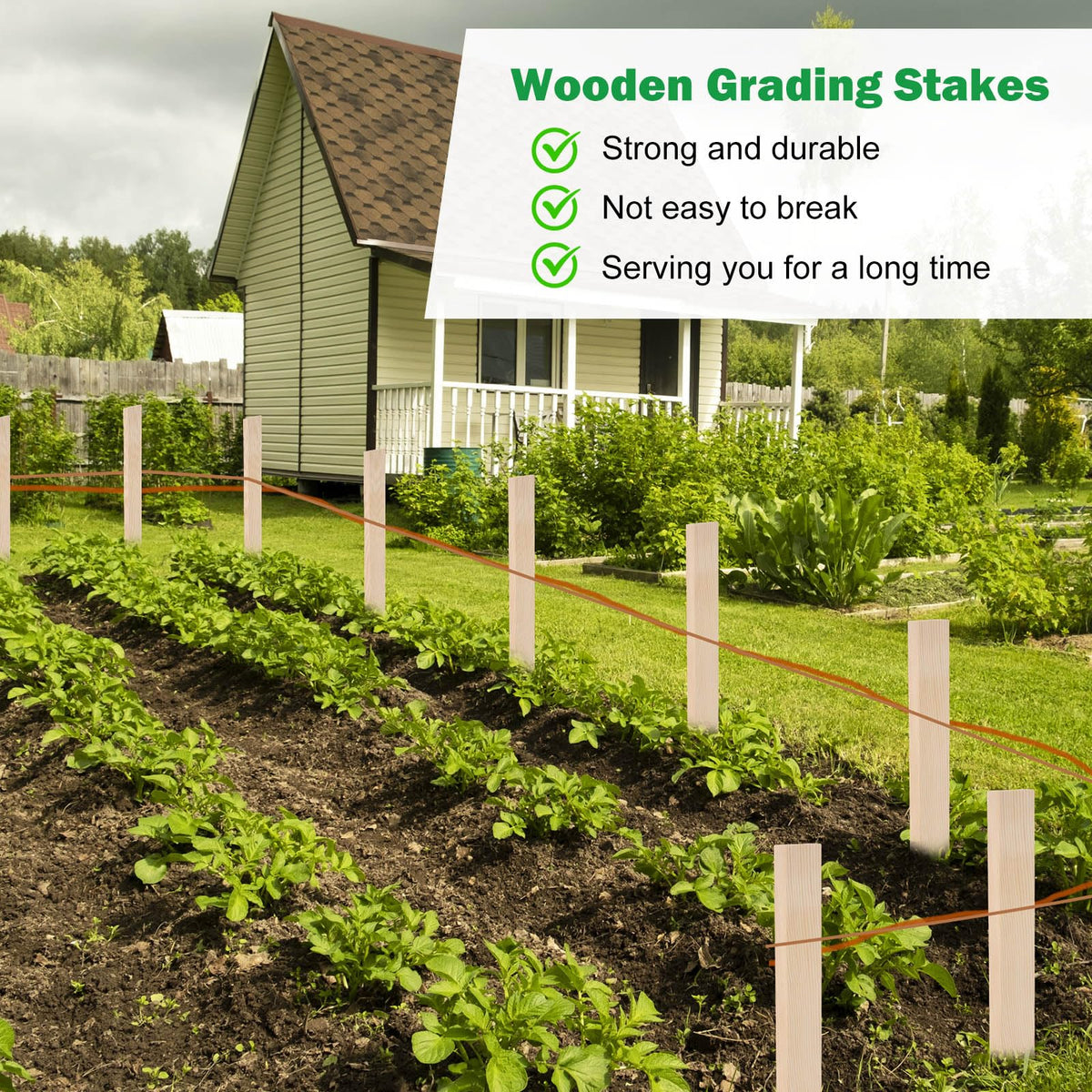 Generic 30-pack wooden stakes in natural pine—blends with garden beds.