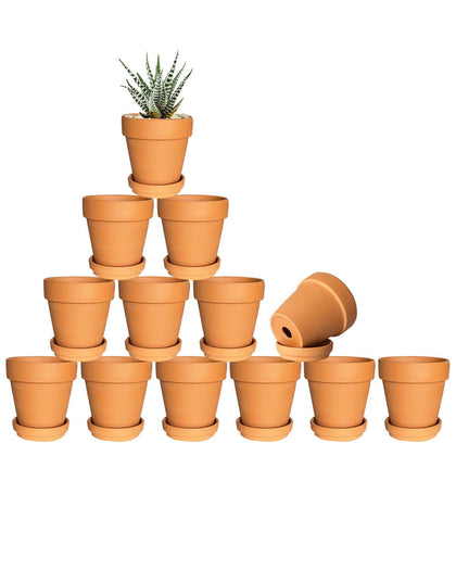 Generic 3-inch terracotta pot with drainage hole for healthy roots.