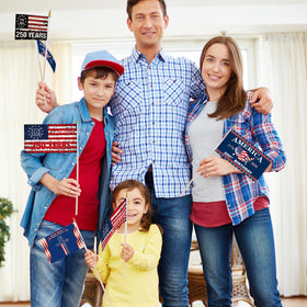 Generic 6-pack 250th anniversary stick flags ideal for lawn display and welcome signage