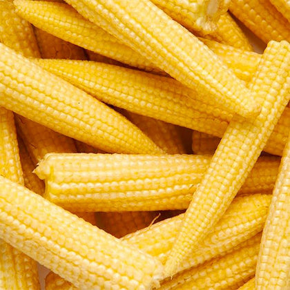 Generic baby corn seeds packaging front for home garden success