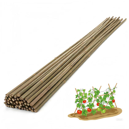 Generic Bamboo Stakes 4ft provide sturdy garden support for climbing plants