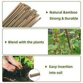 Generic Bamboo Stakes 65-pack offers ample supply for larger gardens