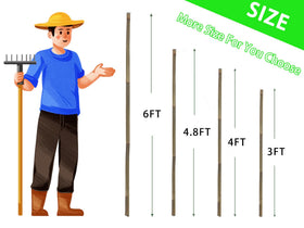 Generic Bamboo Stakes for beans helps create neat climbing trellises