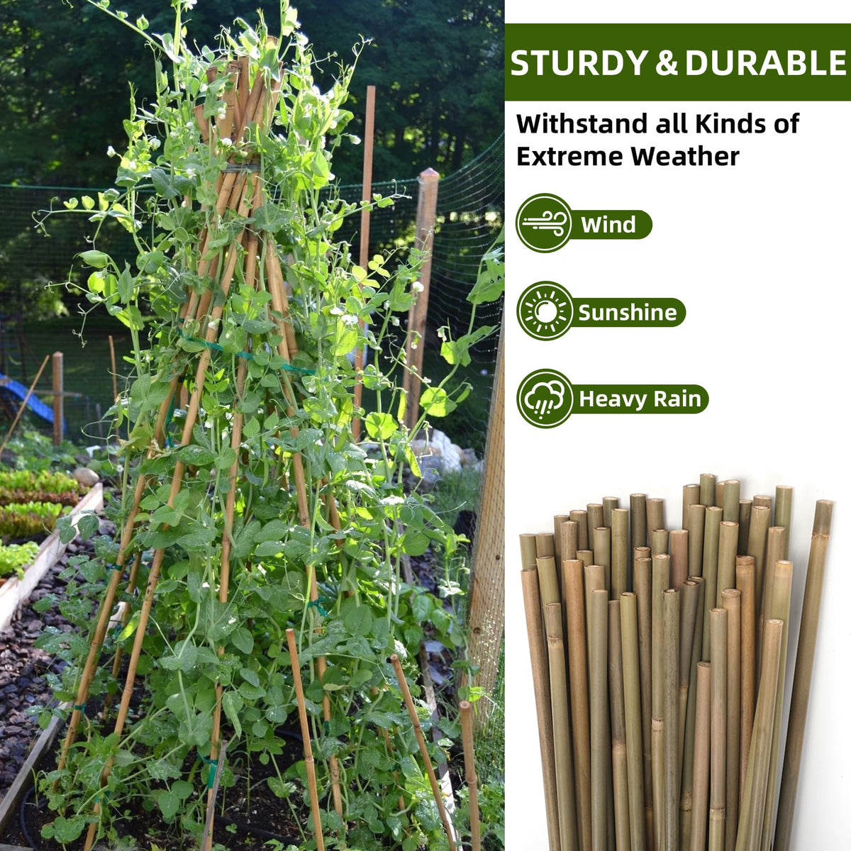 Generic Bamboo Stakes ideal for indoor outdoor use with versatile placement