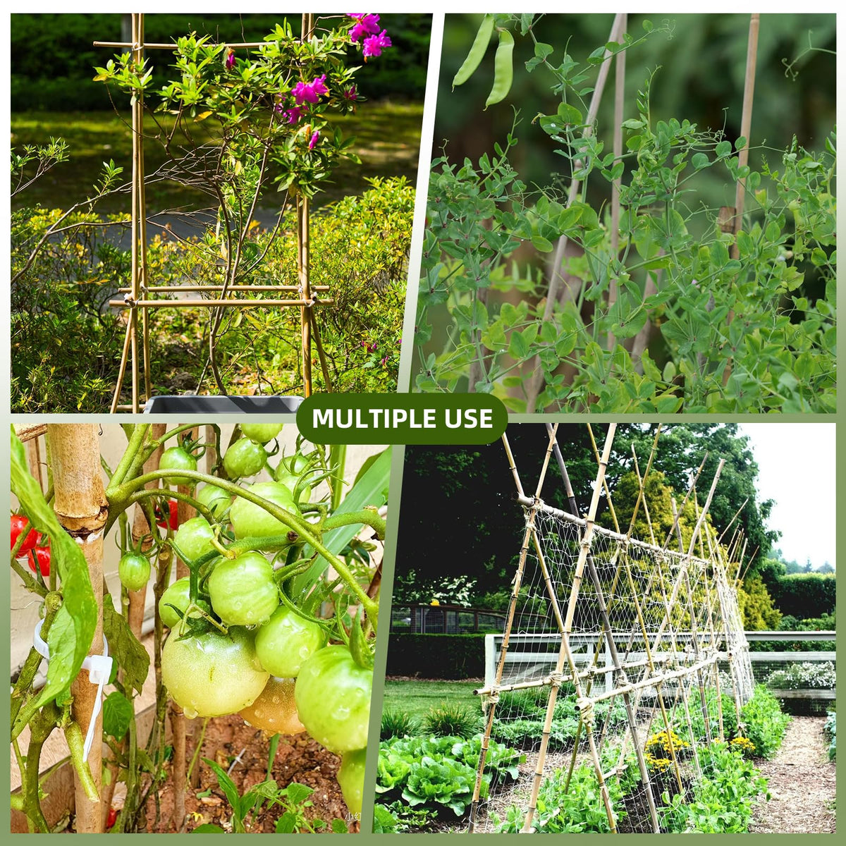 Generic Bamboo Stakes support vegetables and flowers with durable weather ready design