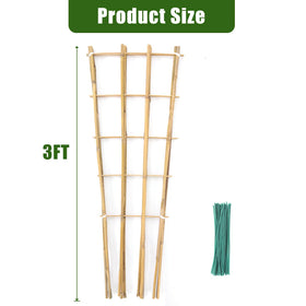 Generic Bamboo Trellis stands 3ft tall to guide vines upward in pots.