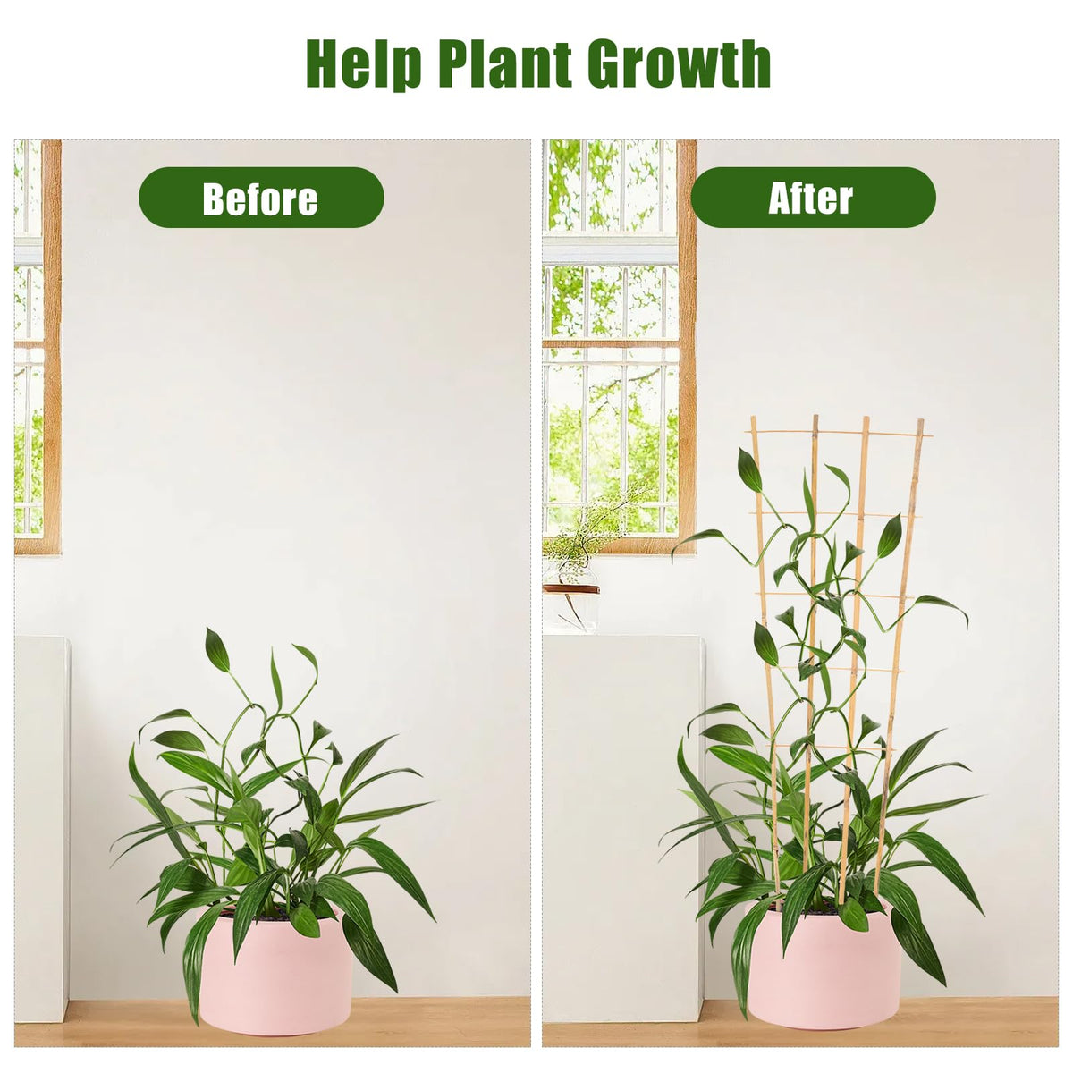 Generic Bamboo Trellis uses natural bamboo for sturdy, lightweight climbing support.