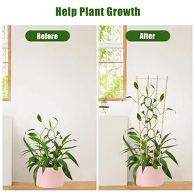 Generic Bamboo Trellis uses natural bamboo for sturdy, lightweight climbing support.