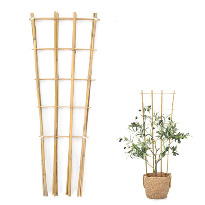 Generic Bamboo Trellis with a fan-shaped design supports indoor climbing plants.