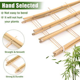 Generic Bamboo Trellis ideal for indoor plants and compact spaces.