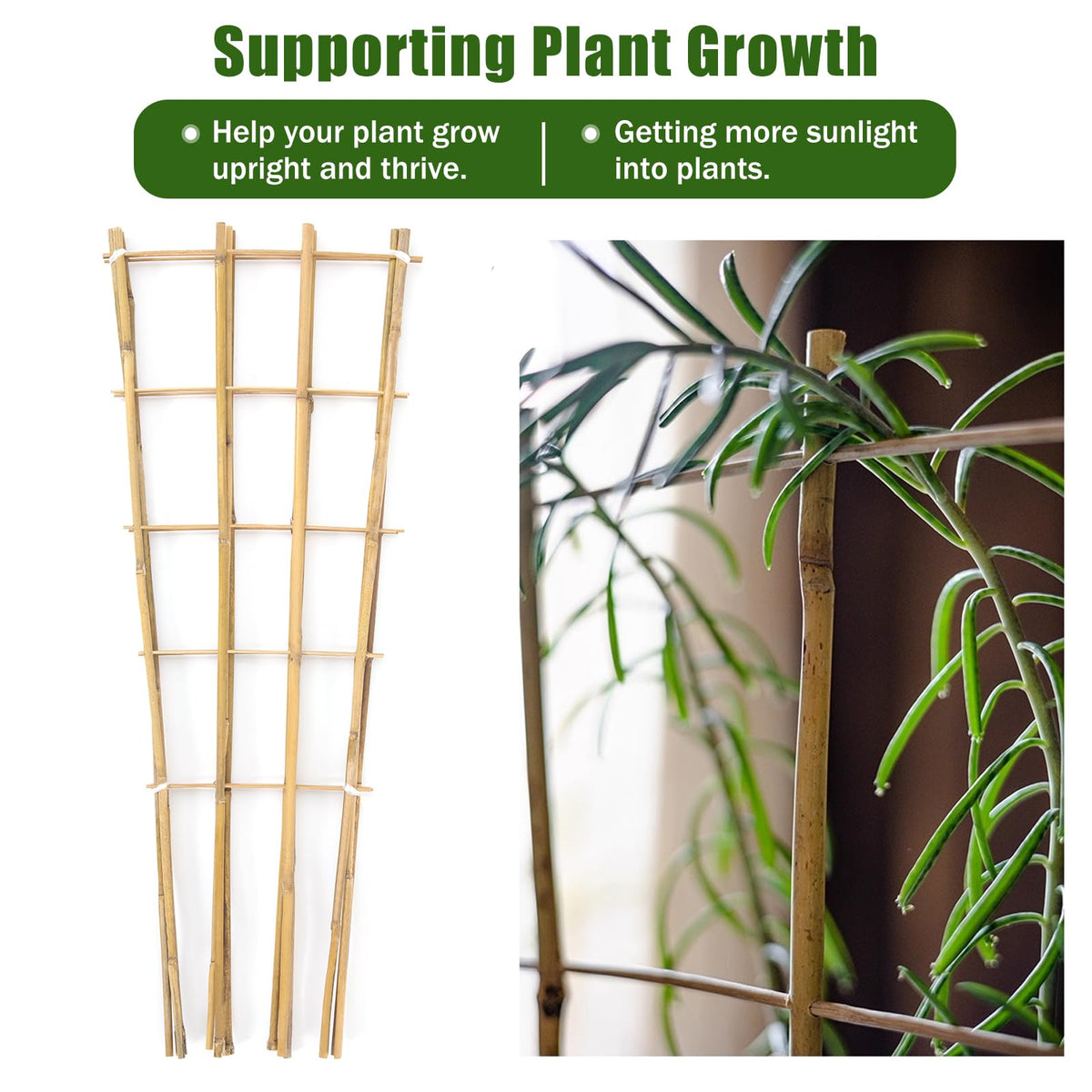 Generic Bamboo Trellis suitable for outdoor garden plant support against wind.