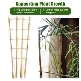 Generic Bamboo Trellis suitable for outdoor garden plant support against wind.