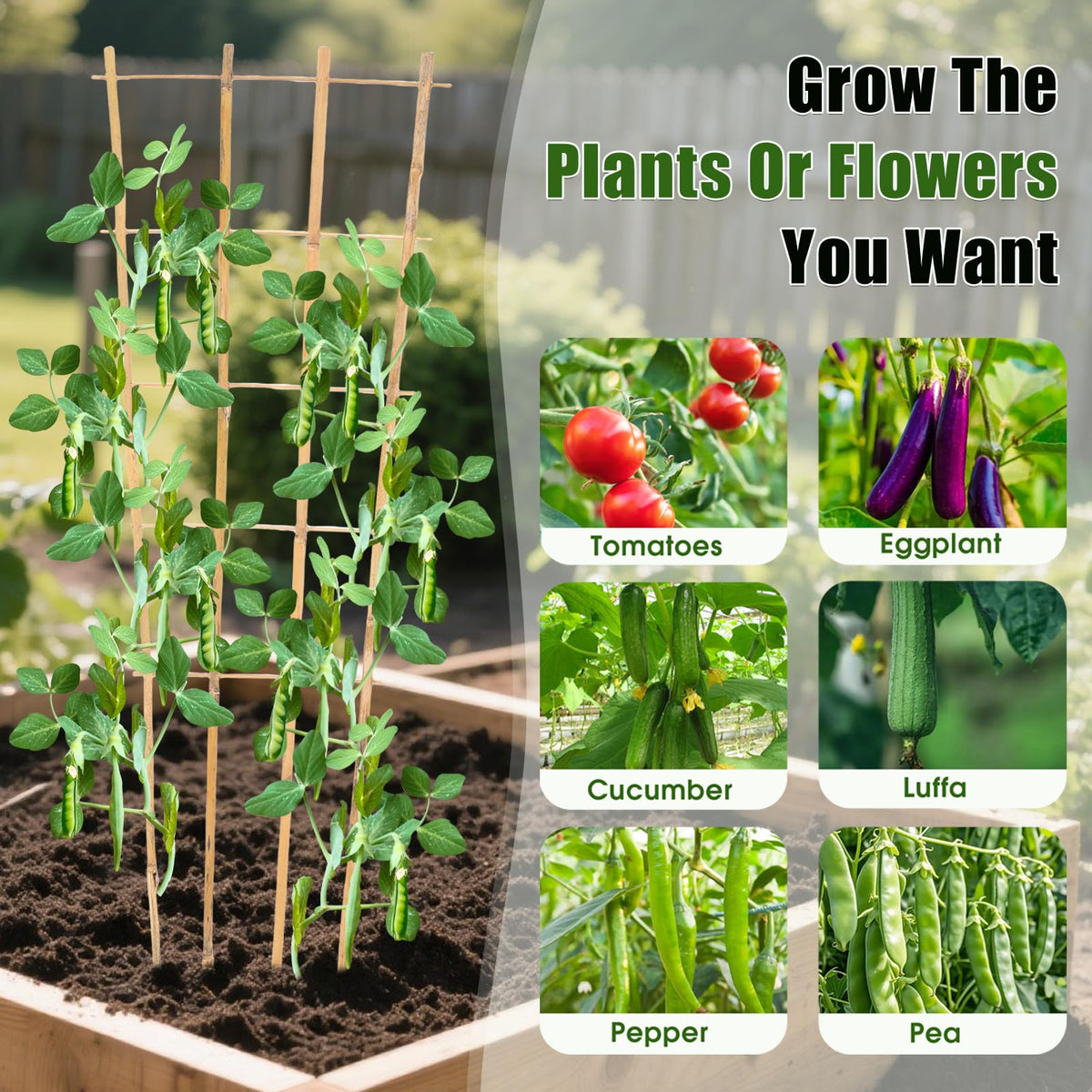 Generic Bamboo Trellis supports cucumbers, tomatoes, and hoya vines for neat growth.