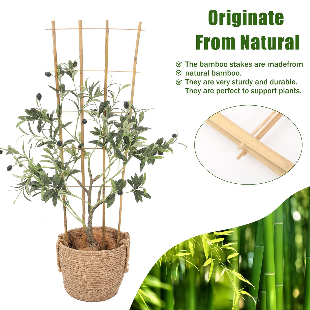 Generic Bamboo Trellis pack of 3 provides flexible support across multiple containers.