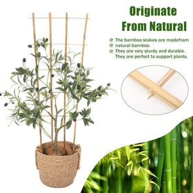 Generic Bamboo Trellis pack of 3 provides flexible support across multiple containers.
