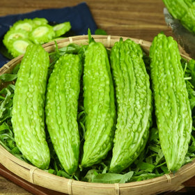 Generic Bitter Melon Seeds green-to-orange ripening fruits.