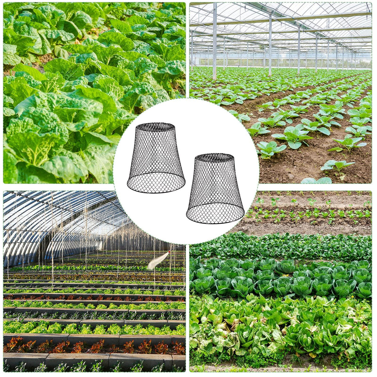 Generic black-coated steel mesh protects garden fruits while air flows.