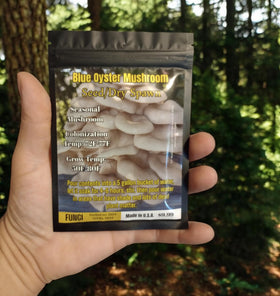 Generic Blue Oyster spawn is ready for outdoor use and natural colonization.